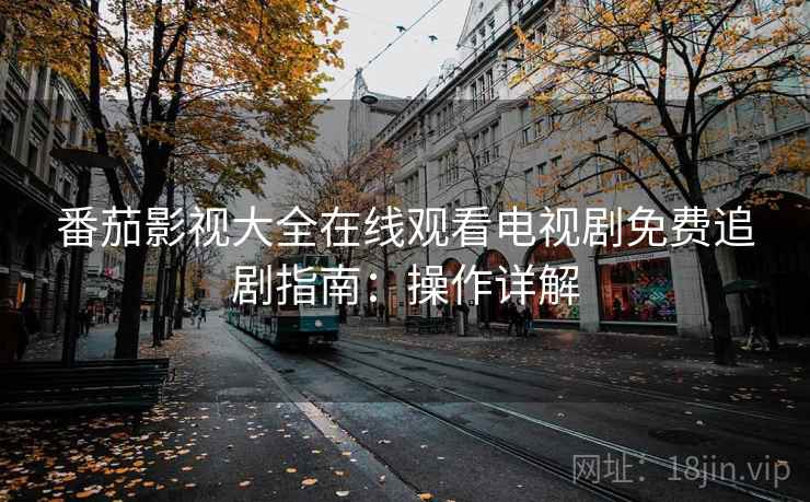 番茄影视大全在线观看电视剧免费追剧指南：操作详解